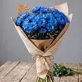 Синие хризантемы